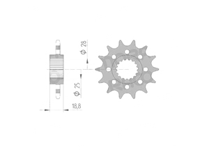 Front sprocket Aprilia Chain 520